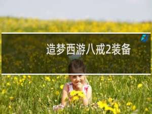 造梦西游八戒2装备