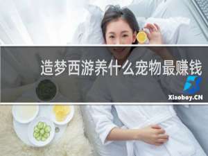 造梦西游养什么宠物最赚钱