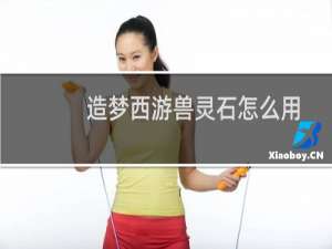 造梦西游兽灵石怎么用