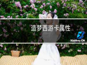 造梦西游卡属性