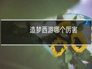 造梦西游哪个厉害