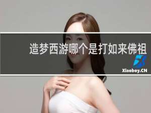 造梦西游哪个是打如来佛祖