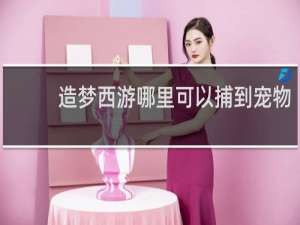 造梦西游哪里可以捕到宠物