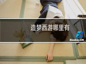 造梦西游哪里有