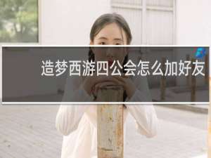 造梦西游四公会怎么加好友