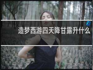 造梦西游四天降甘露升什么