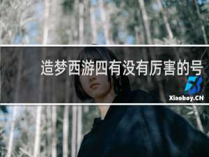 造梦西游四有没有厉害的号