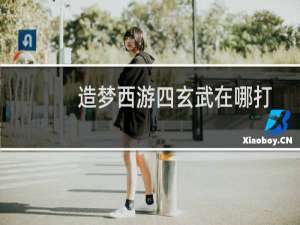 造梦西游四玄武在哪打