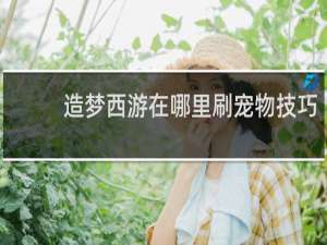 造梦西游在哪里刷宠物技巧