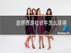 造梦西游壮状牛怎么获得