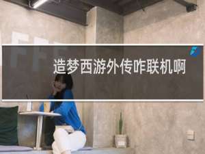 造梦西游外传咋联机啊