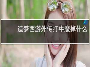 造梦西游外传打牛魔掉什么