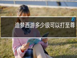 造梦西游多少级可以打至尊