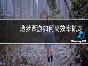 造梦西游如何高效率抓宠