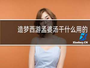造梦西游孟婆汤干什么用的
