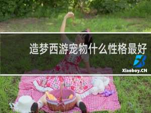 造梦西游宠物什么性格最好