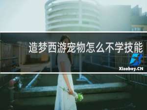 造梦西游宠物怎么不学技能