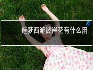 造梦西游彼岸花有什么用