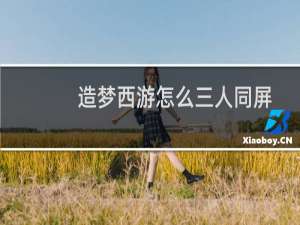 造梦西游怎么三人同屏