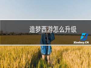 造梦西游怎么升级