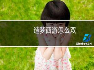 造梦西游怎么双