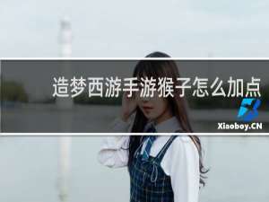 造梦西游手游猴子怎么加点