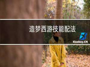 造梦西游技能配法