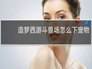 造梦西游斗兽场怎么下宠物