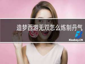 造梦西游无双怎么炼制丹气