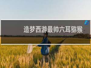 造梦西游最帅六耳猕猴