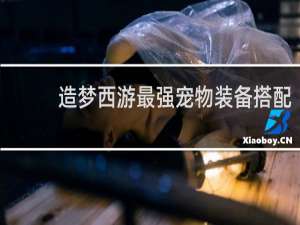 造梦西游最强宠物装备搭配