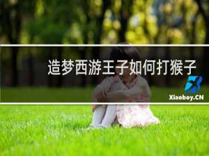 造梦西游王子如何打猴子