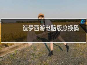 造梦西游电脑版总换码