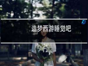 造梦西游睡觉吧