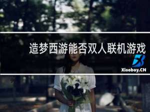 造梦西游能否双人联机游戏