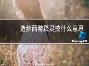 造梦西游释灵技什么意思