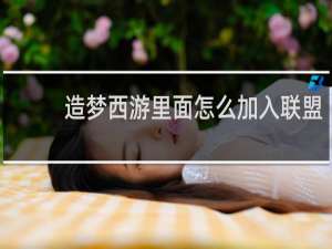 造梦西游里面怎么加入联盟