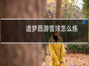 造梦西游雪球怎么练