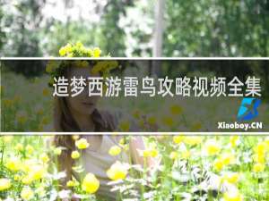 造梦西游雷鸟攻略视频全集