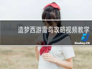 造梦西游雷鸟攻略视频教学