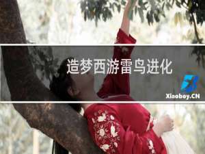 造梦西游雷鸟进化