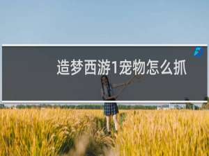 造梦西游1宠物怎么抓