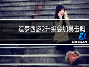 造梦西游2升级会加暴击吗