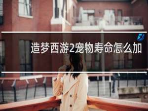 造梦西游2宠物寿命怎么加