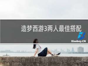造梦西游3两人最佳搭配