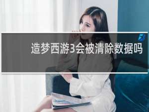 造梦西游3会被清除数据吗