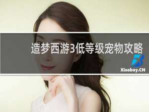 造梦西游3低等级宠物攻略