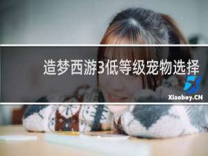 造梦西游3低等级宠物选择