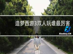 造梦西游3双人玩谁最厉害