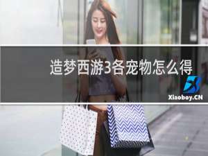 造梦西游3各宠物怎么得